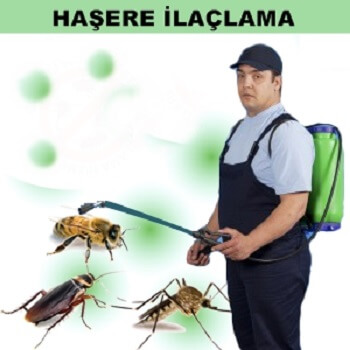 Yavuzeli Böcek İlaçlama